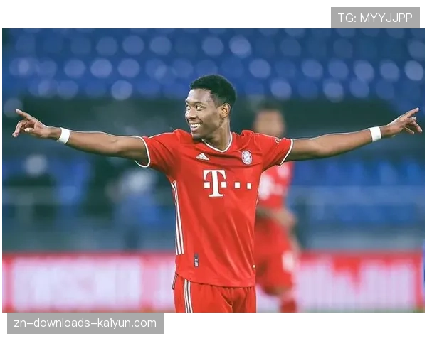 研究显示，德甲在社交媒体平台的粉丝互动率领先其他四大联赛